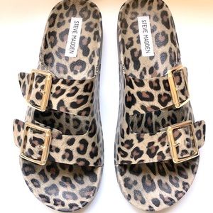 🐆 Summer Spots 🐆